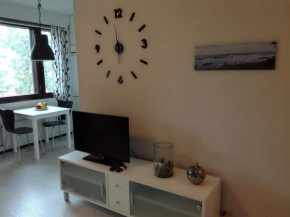 A lovely one-room apartment near the city centre., Vaasa
